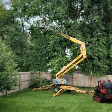 Lawn Maintenance Plans in Flossmoor, IL